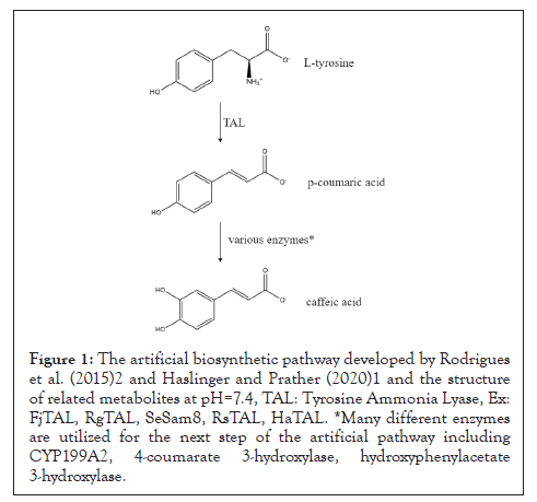 Bioinformatics-biosynthetic