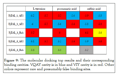 Bioinformatics-docking