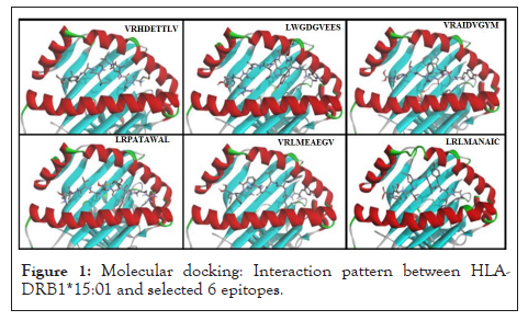 Bioinformatics-docking