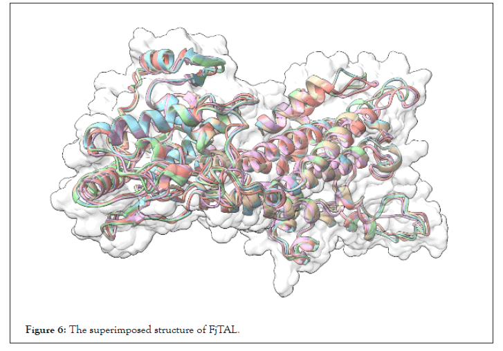 Bioinformatics-superimposed