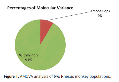 Biology-Today-monkey