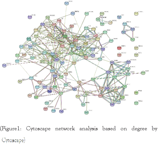 Cytoscape