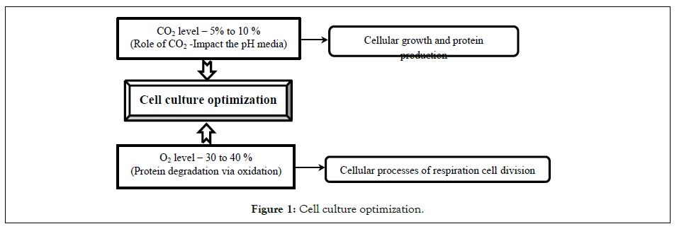 A Mini-Review on CO2 Role in Cell Culture and Medicinal Applications