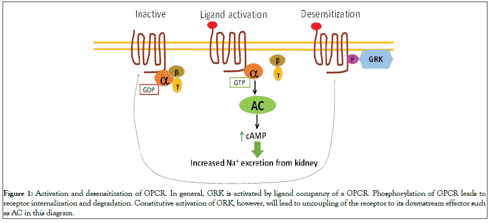 Cell-Science-general