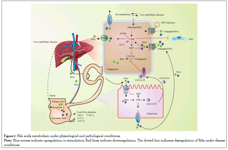 Cell-Science-pathological