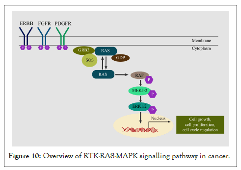 MAPK