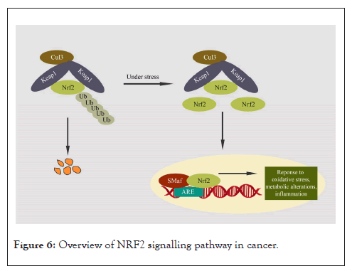 NRF2