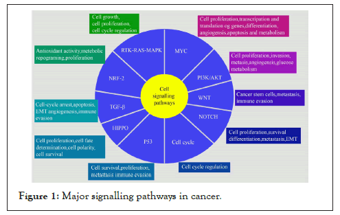 pathways