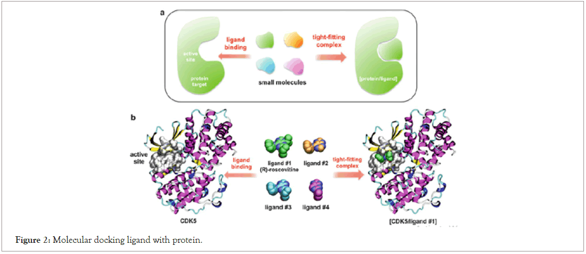 Molecular