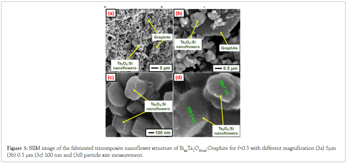 nanoflower