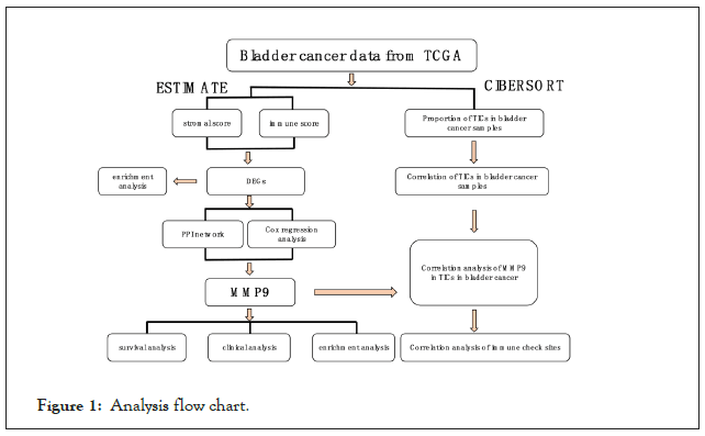 Chemotherapy-Analysis