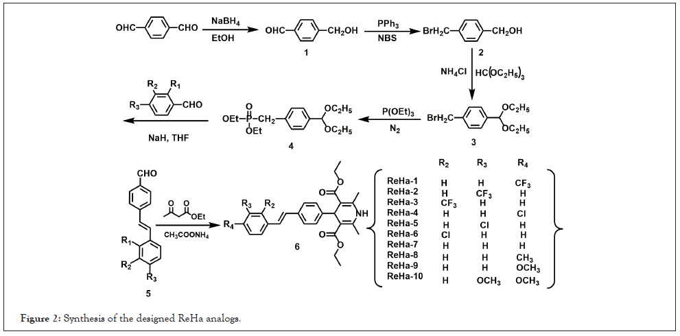 analogs