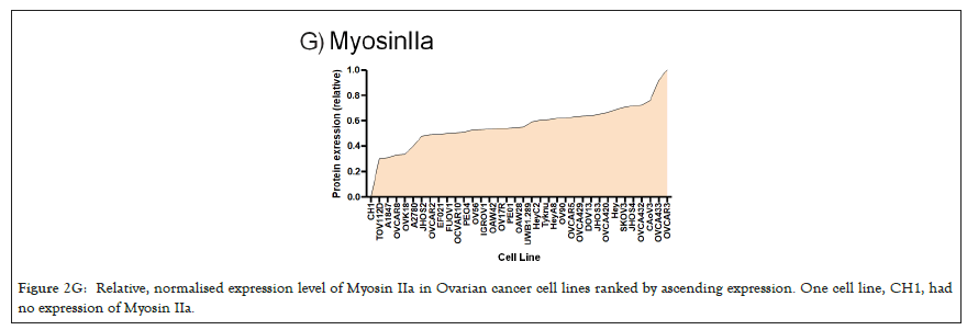 myosin