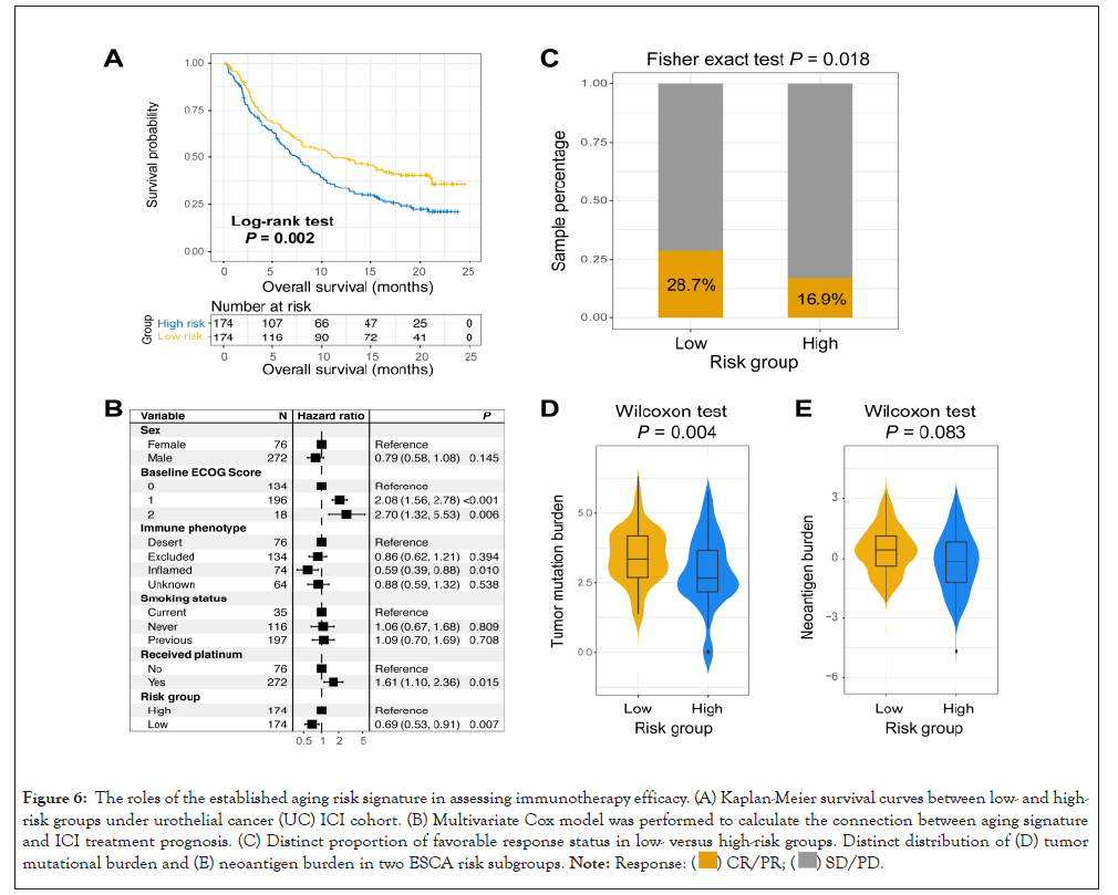 Chemotherapy-risk