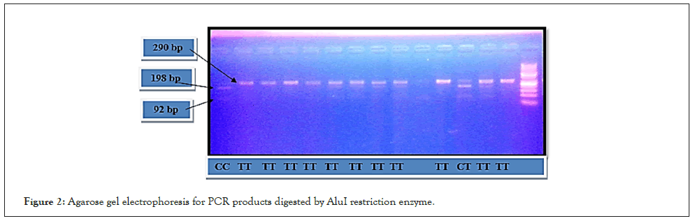 Enzyme