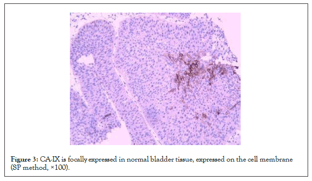 Clinical-Chemistry-expressed