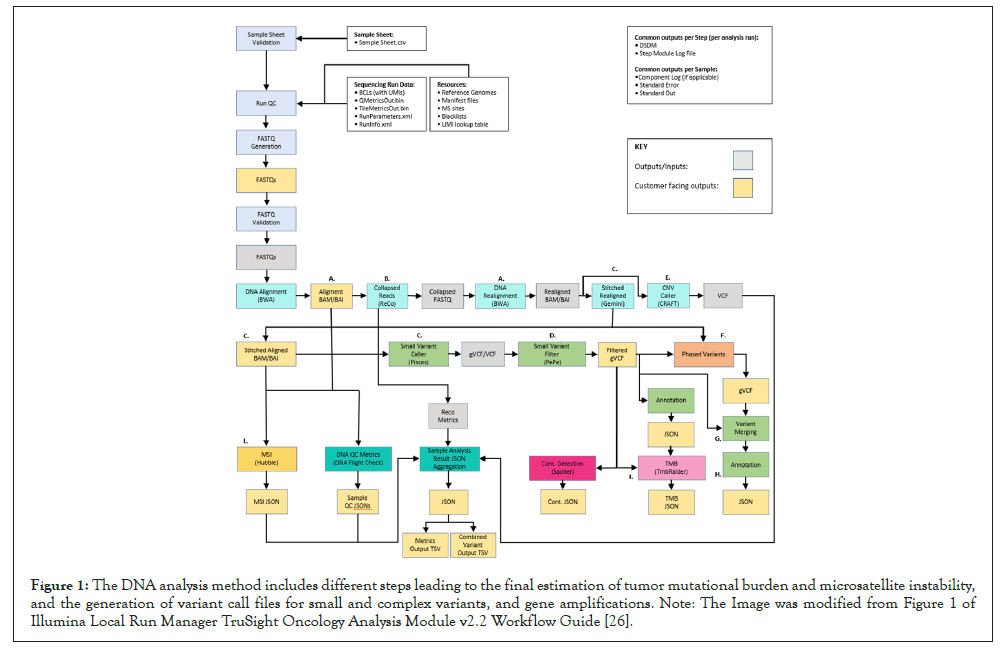 mutational