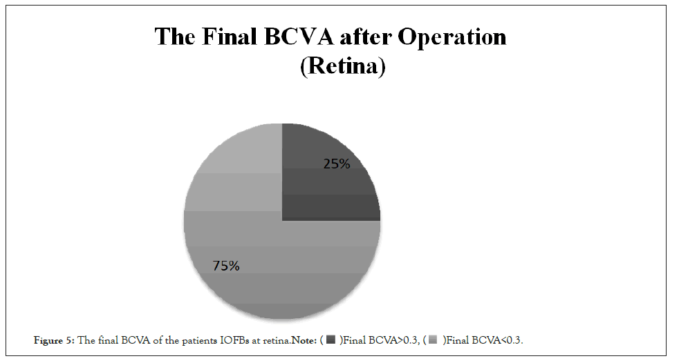 Clinical-Experimental-BCVA