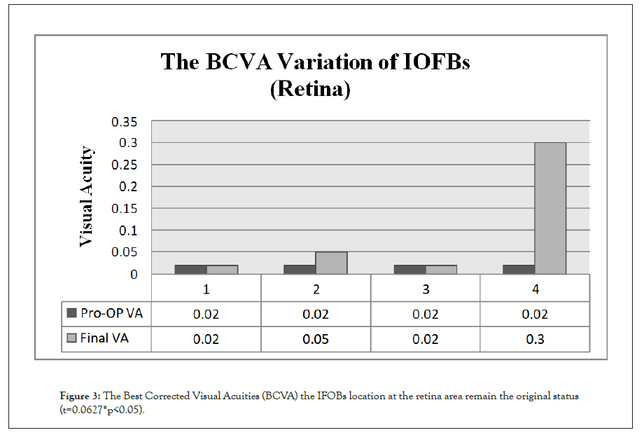 Clinical-Experimental-retina