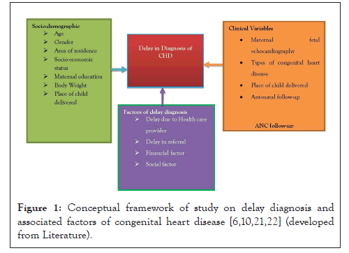 Clinical-Pediatrics-framework