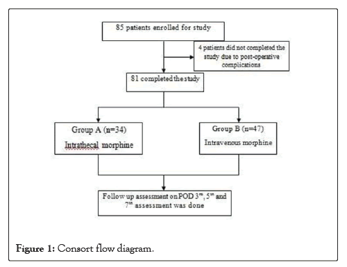 Clinical-Research-flow