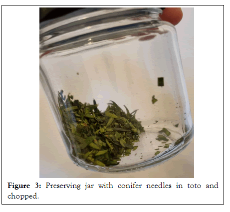Clinical-jar
