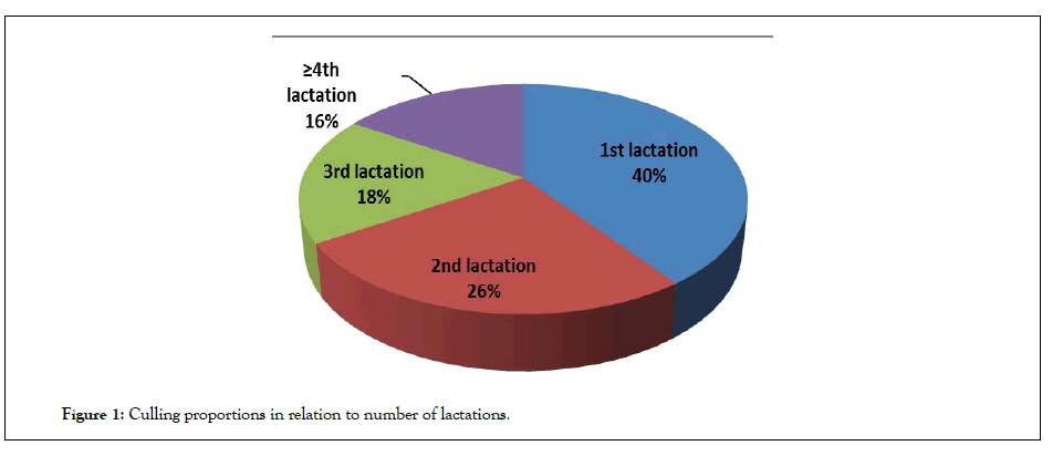 Dairy-Research-number