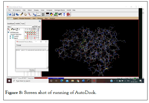 Drug-Designing-AutoDock