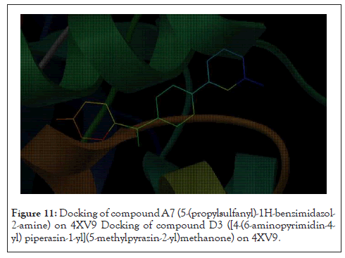 Drug-Designing-Docking