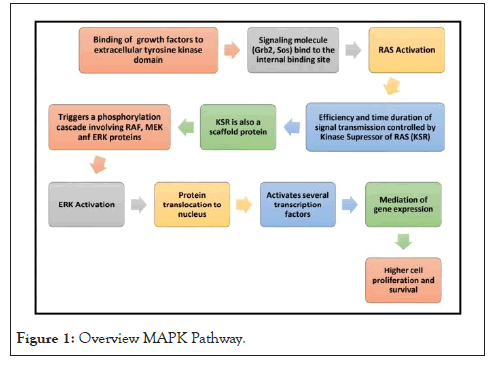 Drug-Designing-MAPK