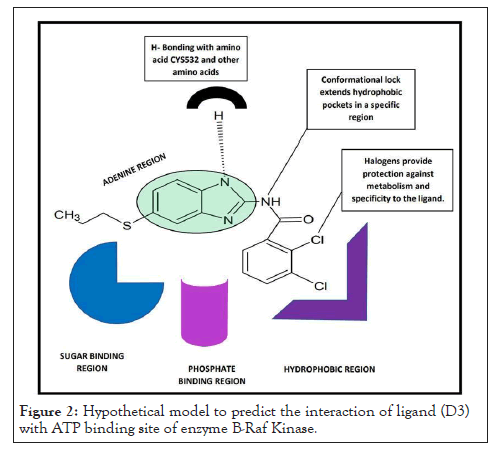 Drug-Designing-interaction