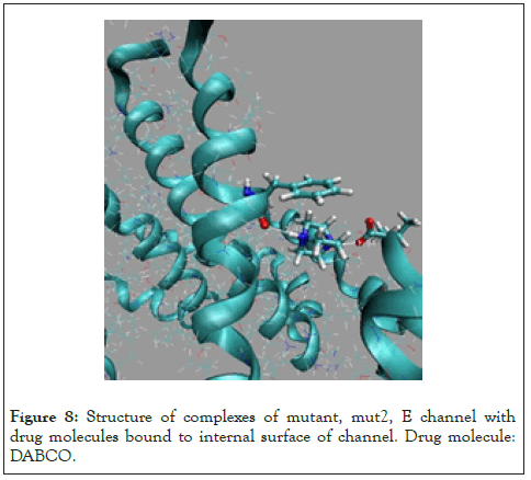 Drug-Designing-mut2