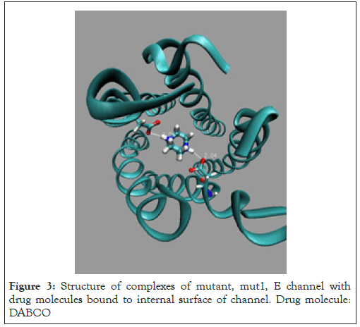 Drug-Designing-mutant