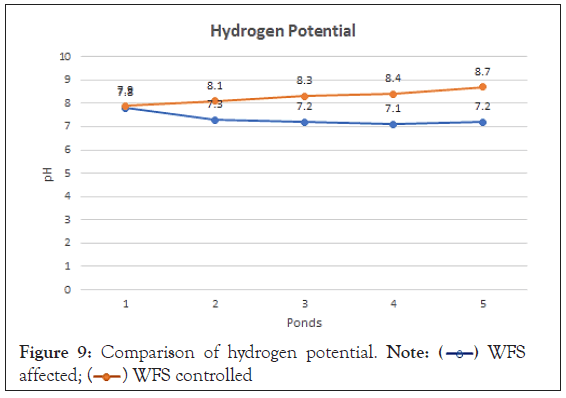 hydrogen