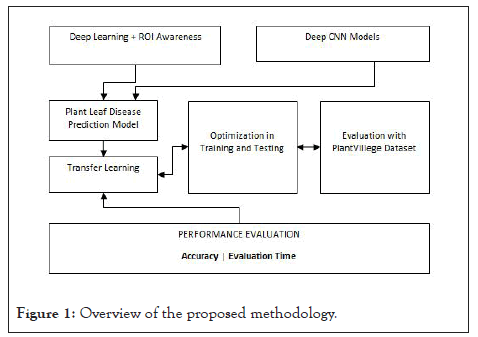 methodology