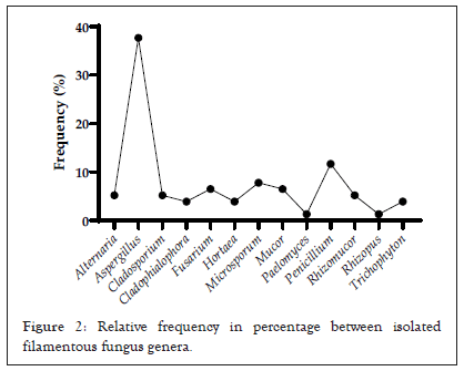 frequency