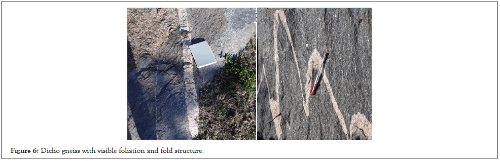 Geophysics-Dicho