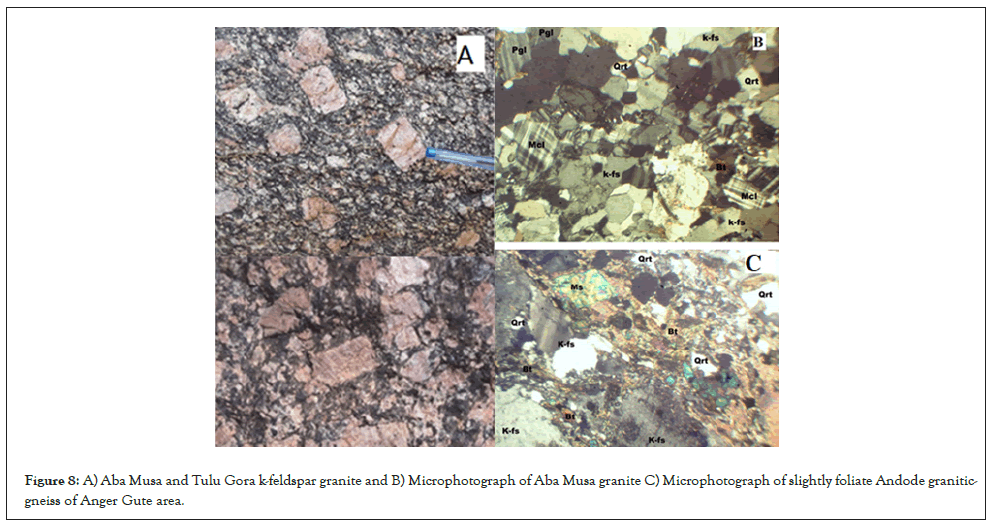 Geophysics-Microphotograph