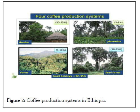 Horticulture-systems