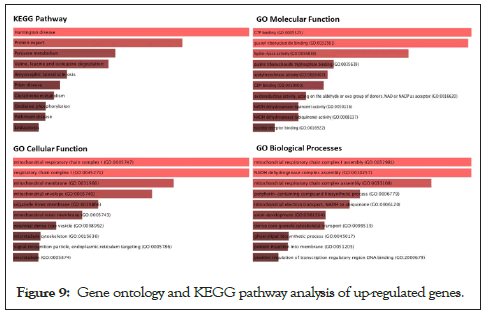 Immunogenetics-ontology