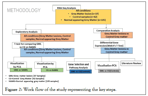 Immunogenetics-representing