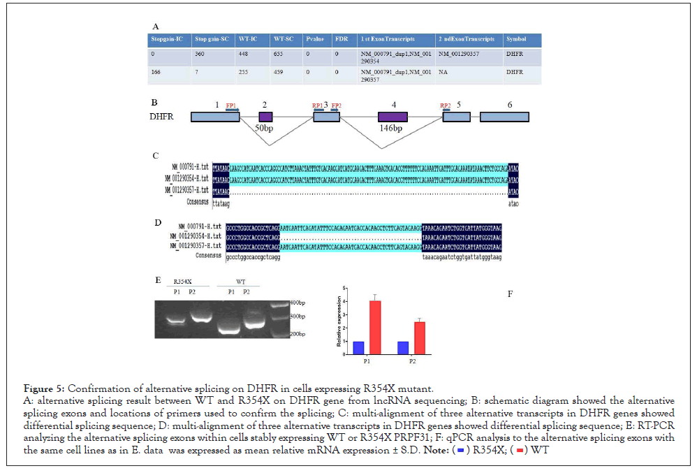 Immunotherapy-DHFR