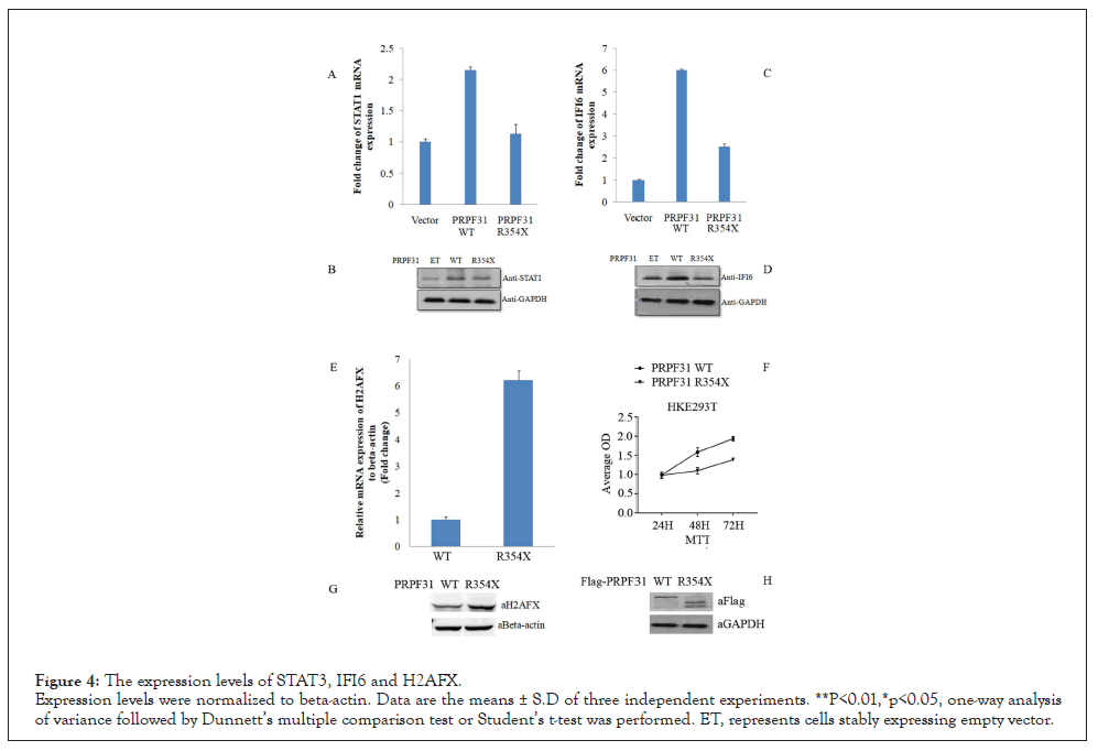 Immunotherapy-STAT3