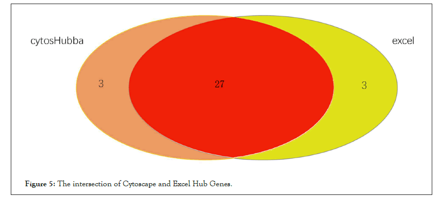 cytoscape