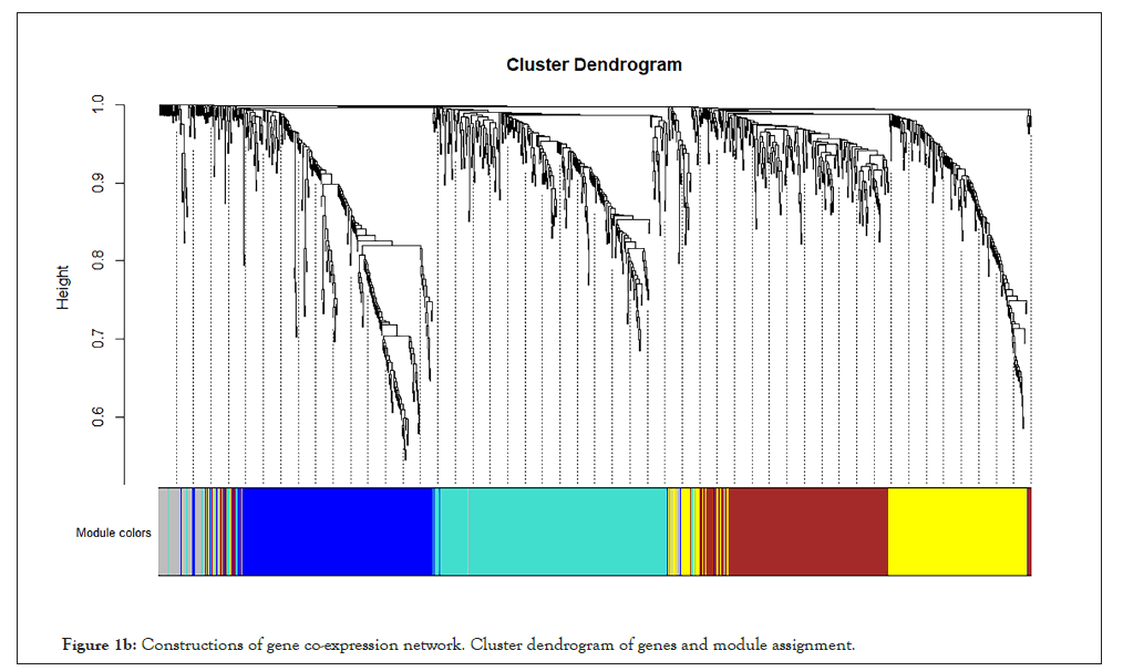 dendrogram