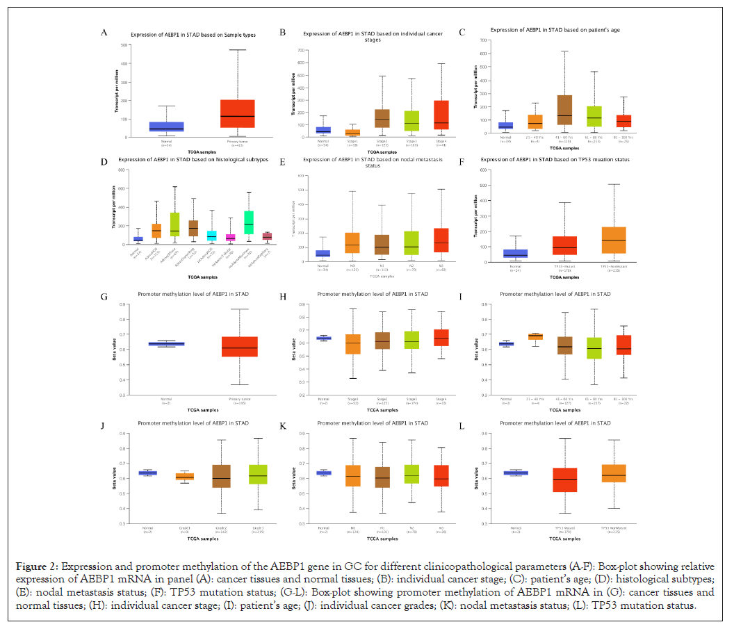 Immunotherapy-methylation