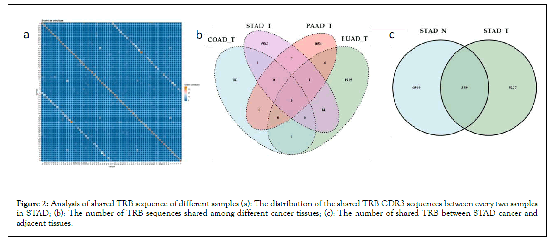 Immunotherapy-sequences