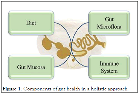 JCMA-holistic