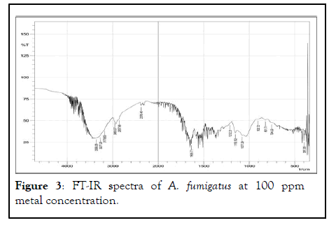 JPE-ppm