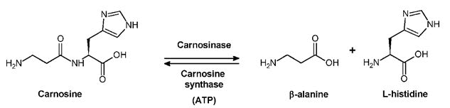 Journal-Nutrition-Food-Sciences-Complex